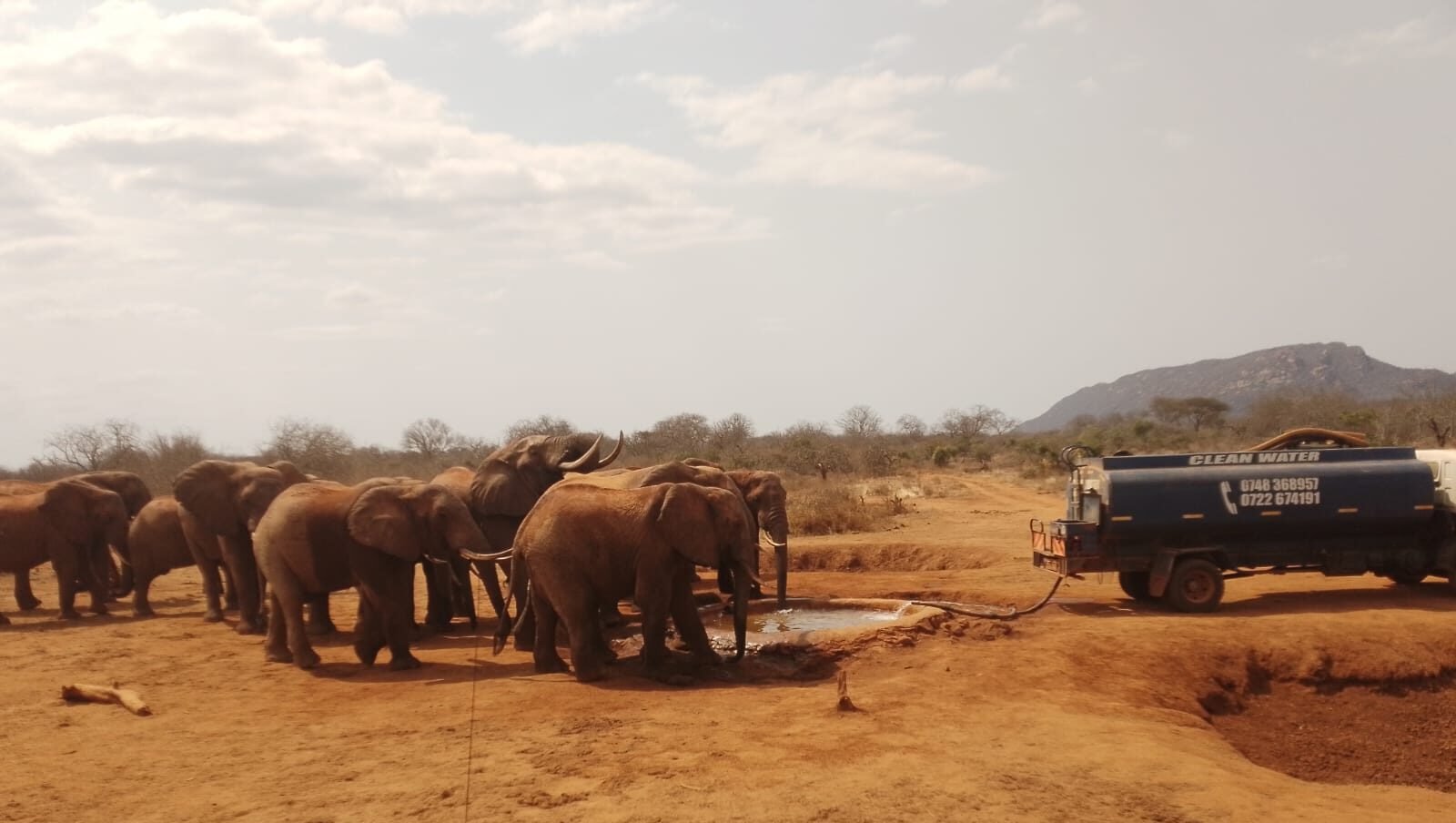 Tsavo wildlife conservation