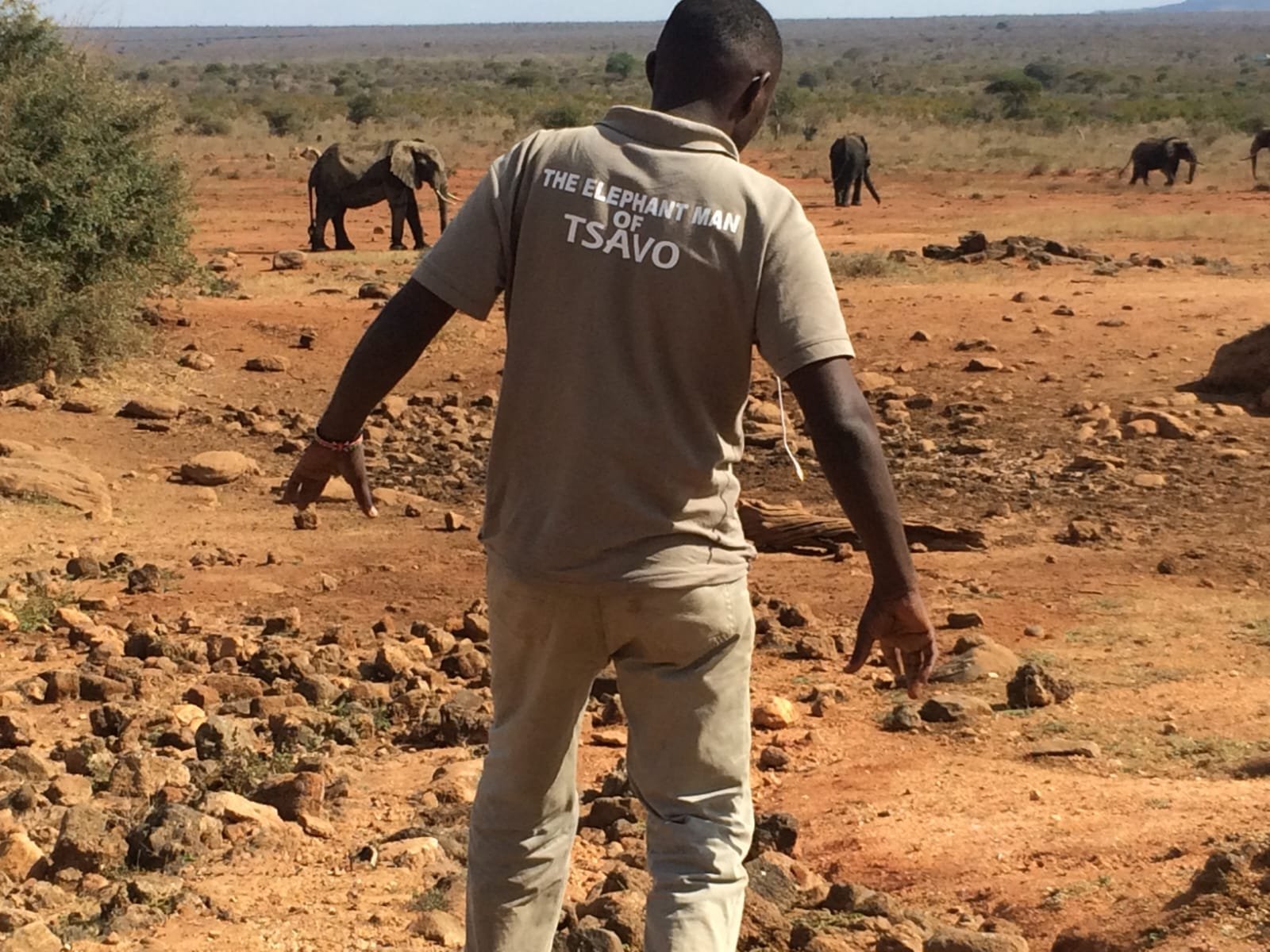Transform Tsavo Support Activity